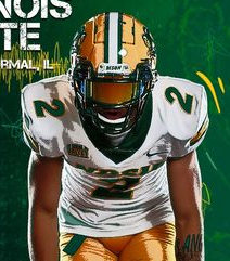 Mens North Dakota State Bison #2 Quincy Patterson II Nike White Without Name College Football Game Jersey