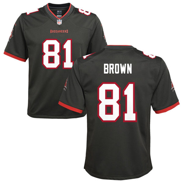 Youth Tampa Bay Buccaneers #81 Antonio Brown Nike Pewter Alternate Limited Jersey