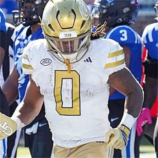 Georgia Tech Yellow Jackets #0 MALACHI HOSLEY 2025 White Football Game Jersey
