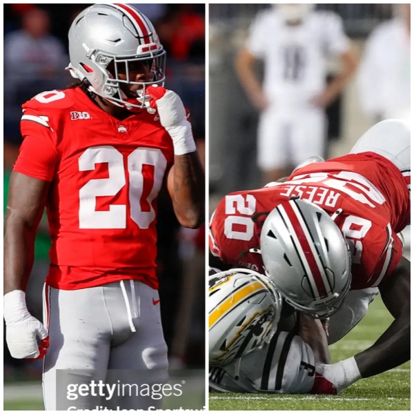 Mens Ohio State Buckeyes #20 Arvell Reese F.U.S.E. Limited Scarlet College Football Game Jersey