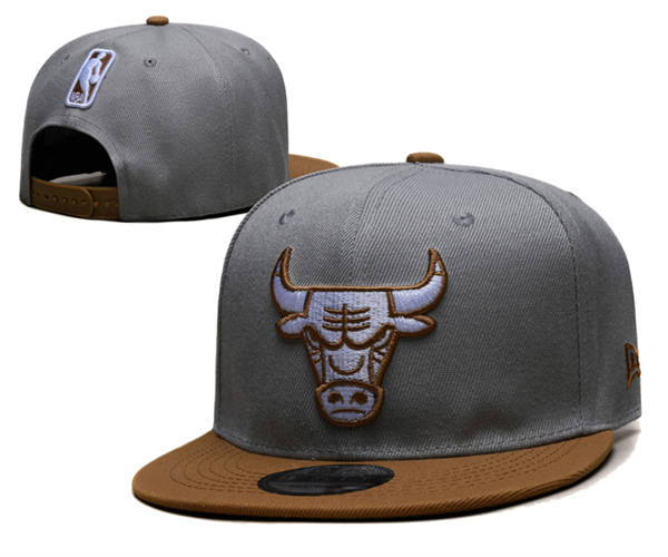 Chicago Bulls gray tan Snapback Cap GS2503223 (3)