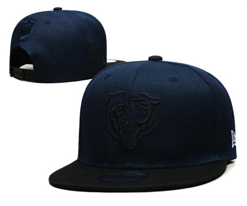Chicago Bears navy on navy Primary Logo Snapback Cap GS254043 (3)