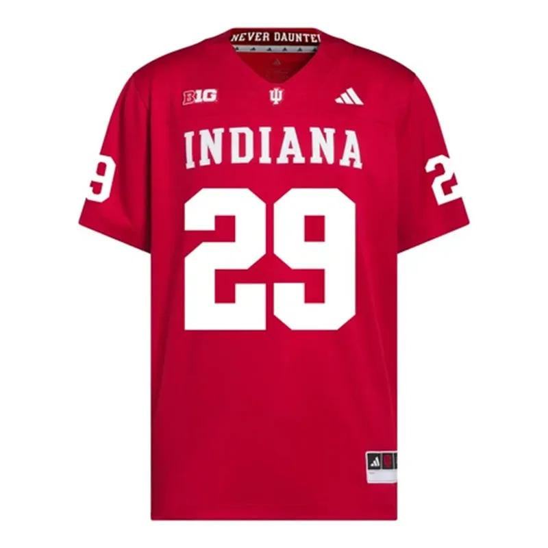 Indiana Hoosiers #29 Lee Beebe Jr. Crimson Indiana Football Game Jersey