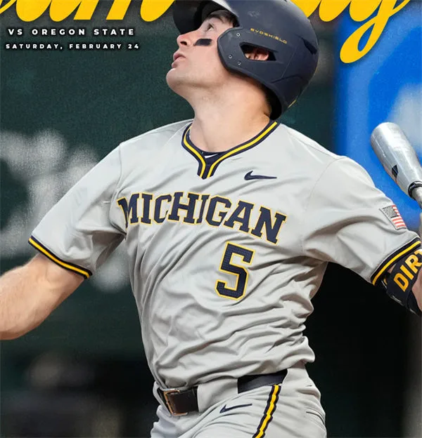 Michigan Wolverines Custom 2026 Gray Pullover College Baseball Game Jersey